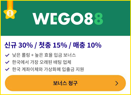 UFC 토토01